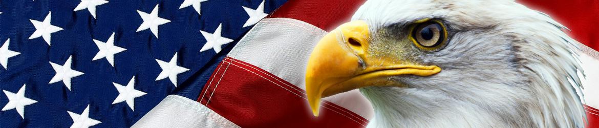 American flag and bald eagle